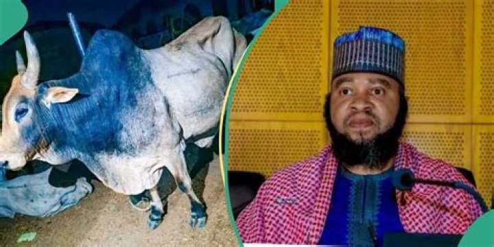 Abubuwan da Ya Kamata Duk Mai Niyyan Layya Ya Kiyaye a Kwanaki 10 Kafin Sallah