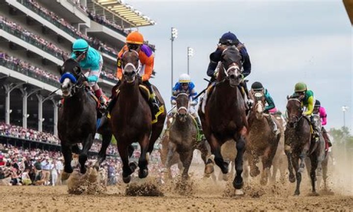 Horse Racing: They Made the Stakes Too Long