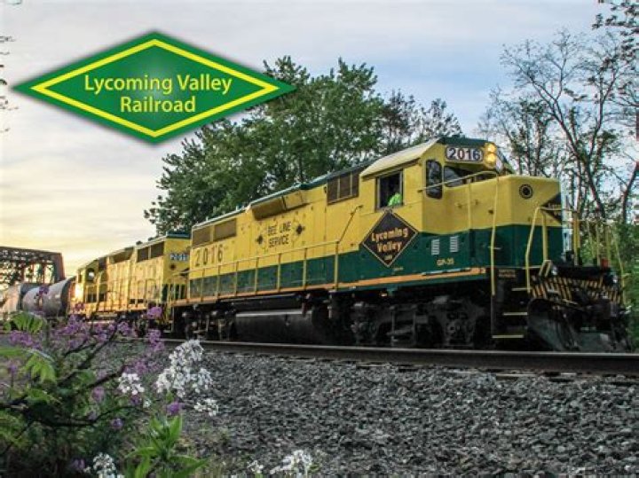 Lycoming Valley Railroad profile - Trains