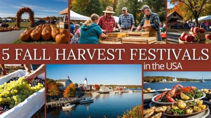 MacKID's Guide to Fall Festivals in the Greater Charlotte Area