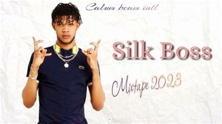Silk Boss Missing: Where Is Silk Boss Now?