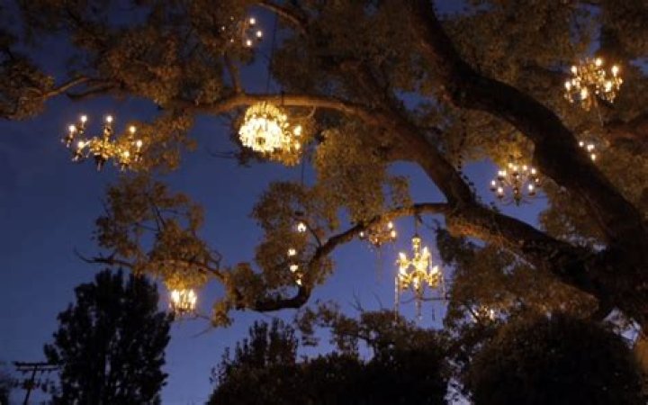 The Chandelier Tree – Silver Lake's twinkling neighborhood gem